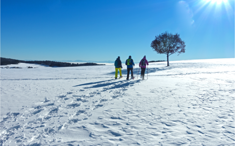 snow shoeing_1